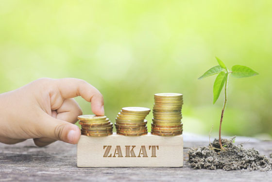Tax and Zakat